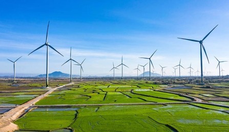Cơ hội đầu tư năng lượng tái tạo nhờ chính sách mới