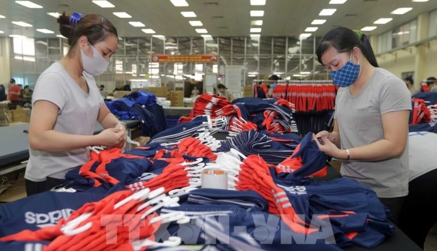 5 năm thực thi EVFTA: Giữ vững nhịp tăng trưởng hợp tác kinh tế Việt Nam và EU