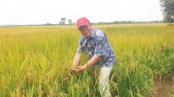 Tang lễ GS-TS Võ Tòng Xuân tổ chức tại TP Cần Thơ