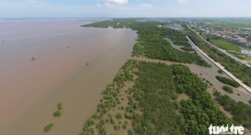 Thái Bình giữ nguyên diện tích Khu bảo tồn thiên nhiên đất ngập nước Tiền Hải