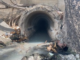 Vụ cống xả nước thải ra biển Bãi Trước: Lãnh đạo tỉnh Bà Rịa- Vũng Tàu chỉ đạo xử lý