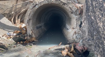 Vụ cống xả nước thải ra biển Bãi Trước: Lãnh đạo tỉnh Bà Rịa- Vũng Tàu chỉ đạo xử lý