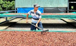 Đồng Nai: 'Xây dựng nông thôn mới' về đích sớm