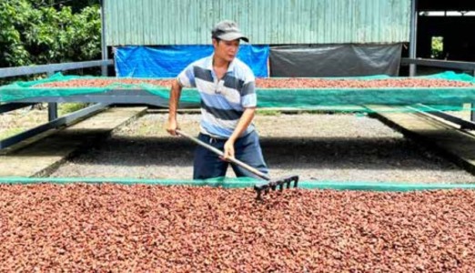Đồng Nai: 'Xây dựng nông thôn mới' về đích sớm