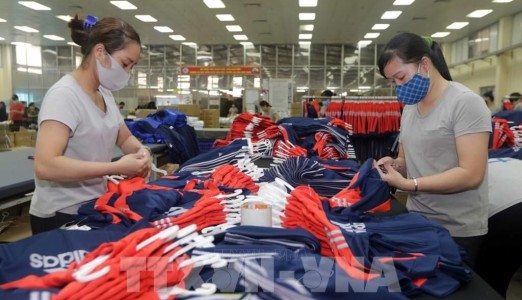 5 năm thực thi EVFTA: Giữ vững nhịp tăng trưởng hợp tác kinh tế Việt Nam và EU